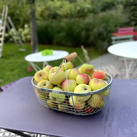 Beautiful Historic Close To Deauville 别墅 滨海维莱