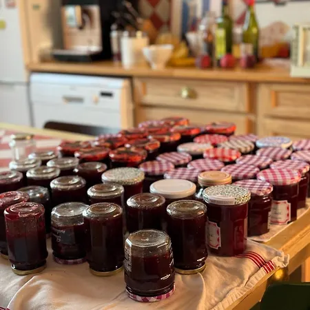 Beautiful Historic Close To Deauville 别墅